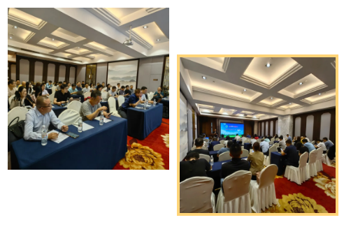 1729476981776601.png 1729476974457.png